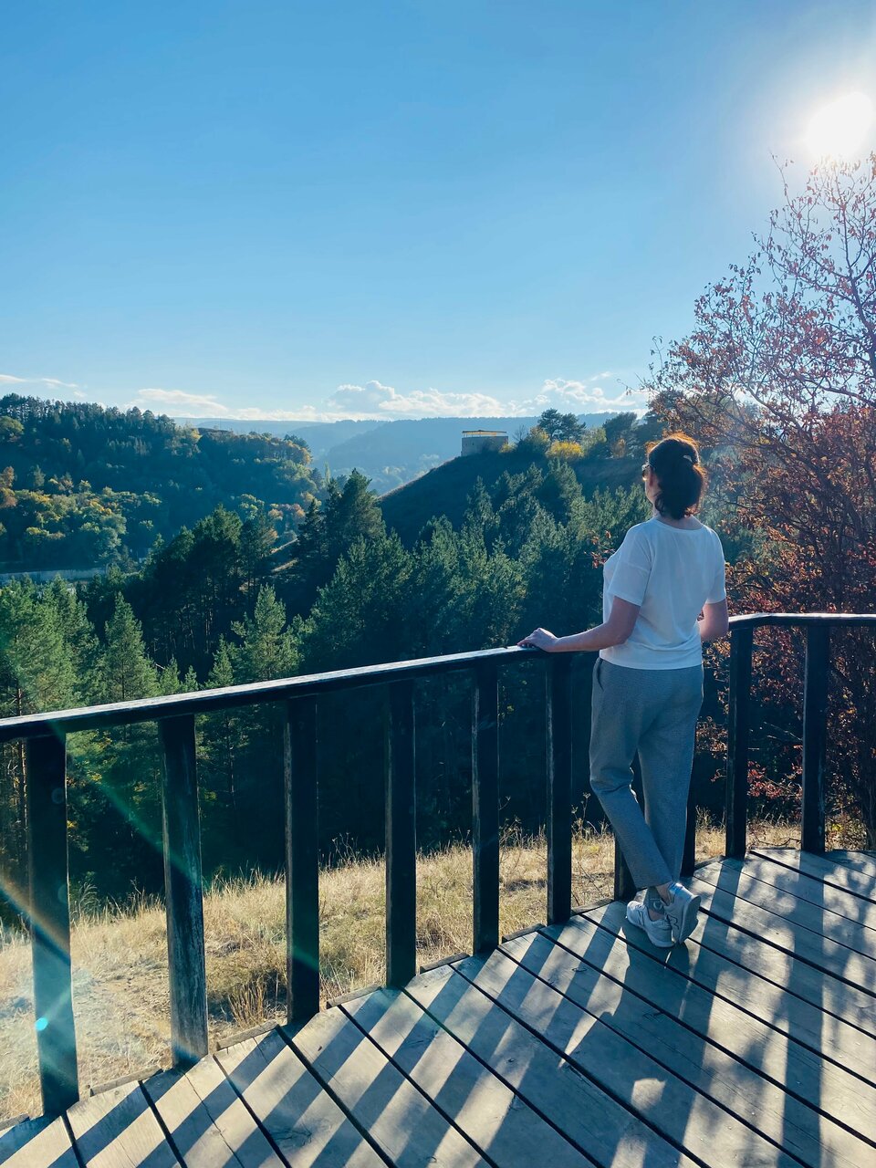 Гостиница Санаторий им. А. М. Горького Кисловодск-34