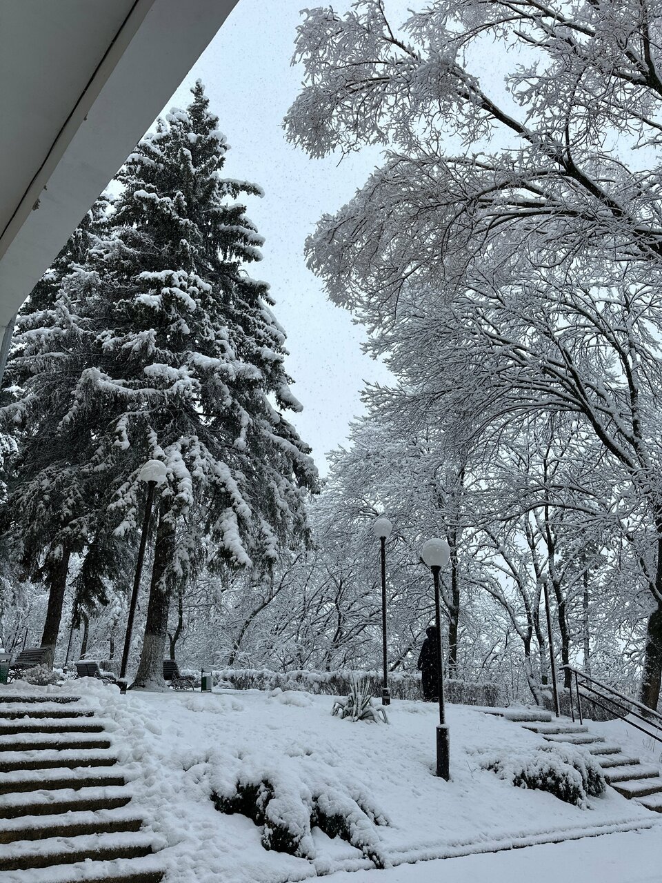 Гостиница Санаторий им. А. М. Горького Кисловодск-20