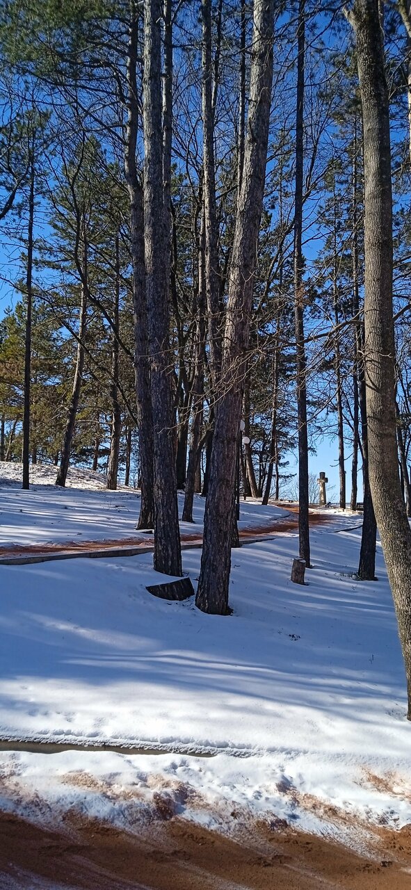 Гостиница Санаторий им. А. М. Горького Кисловодск