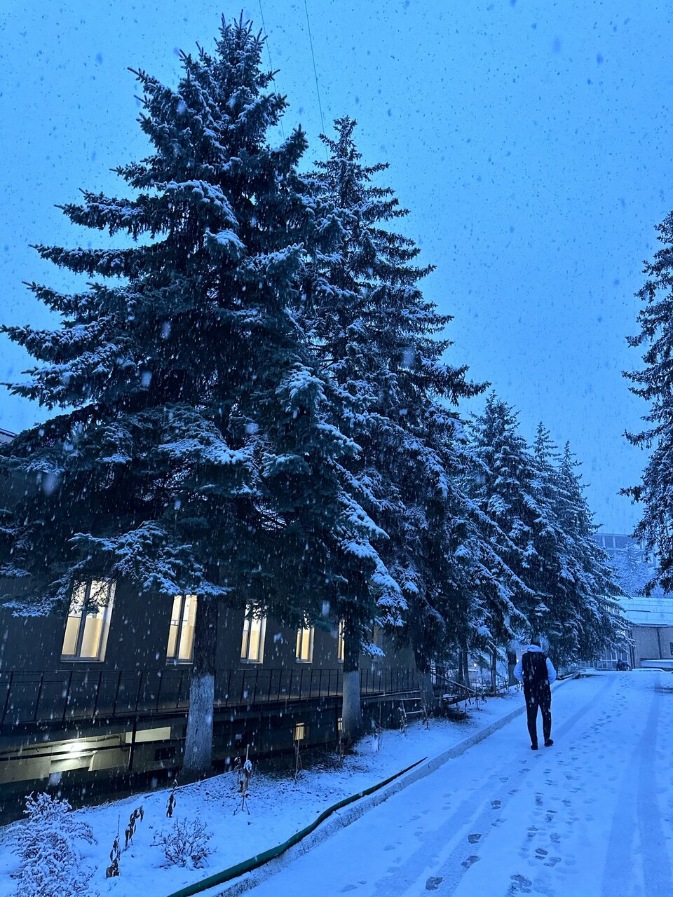 Гостиница Санаторий им. А. М. Горького Кисловодск-41