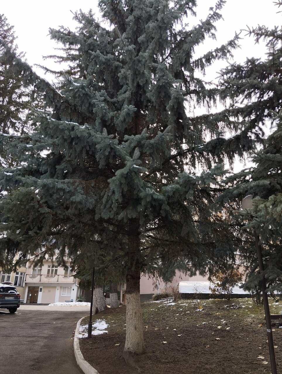 Гостиница Санаторий им. А. М. Горького Кисловодск-44