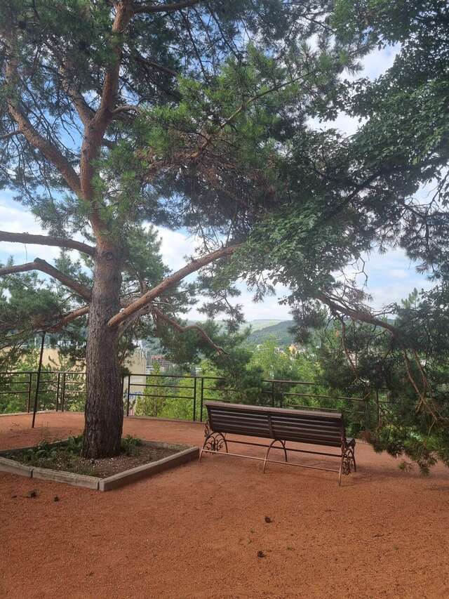 Гостиница Санаторий им. А. М. Горького Кисловодск-30