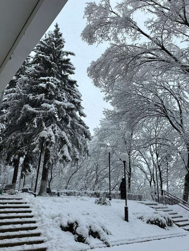 Гостиница Санаторий им. А. М. Горького Кисловодск-19