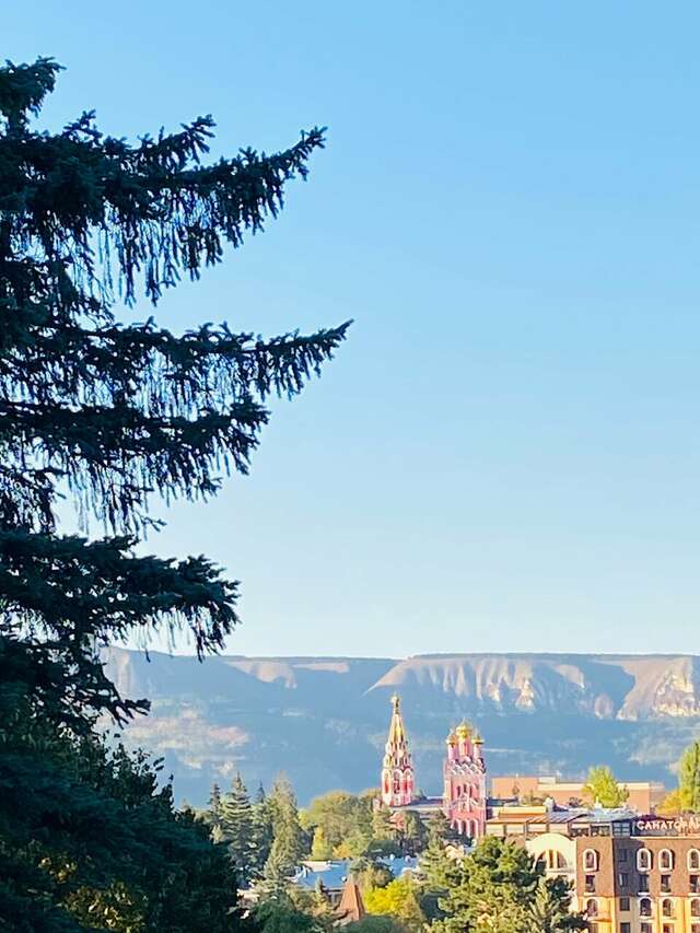 Гостиница Санаторий им. А. М. Горького Кисловодск-31