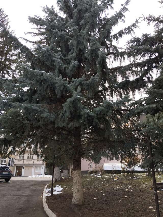 Гостиница Санаторий им. А. М. Горького Кисловодск-43